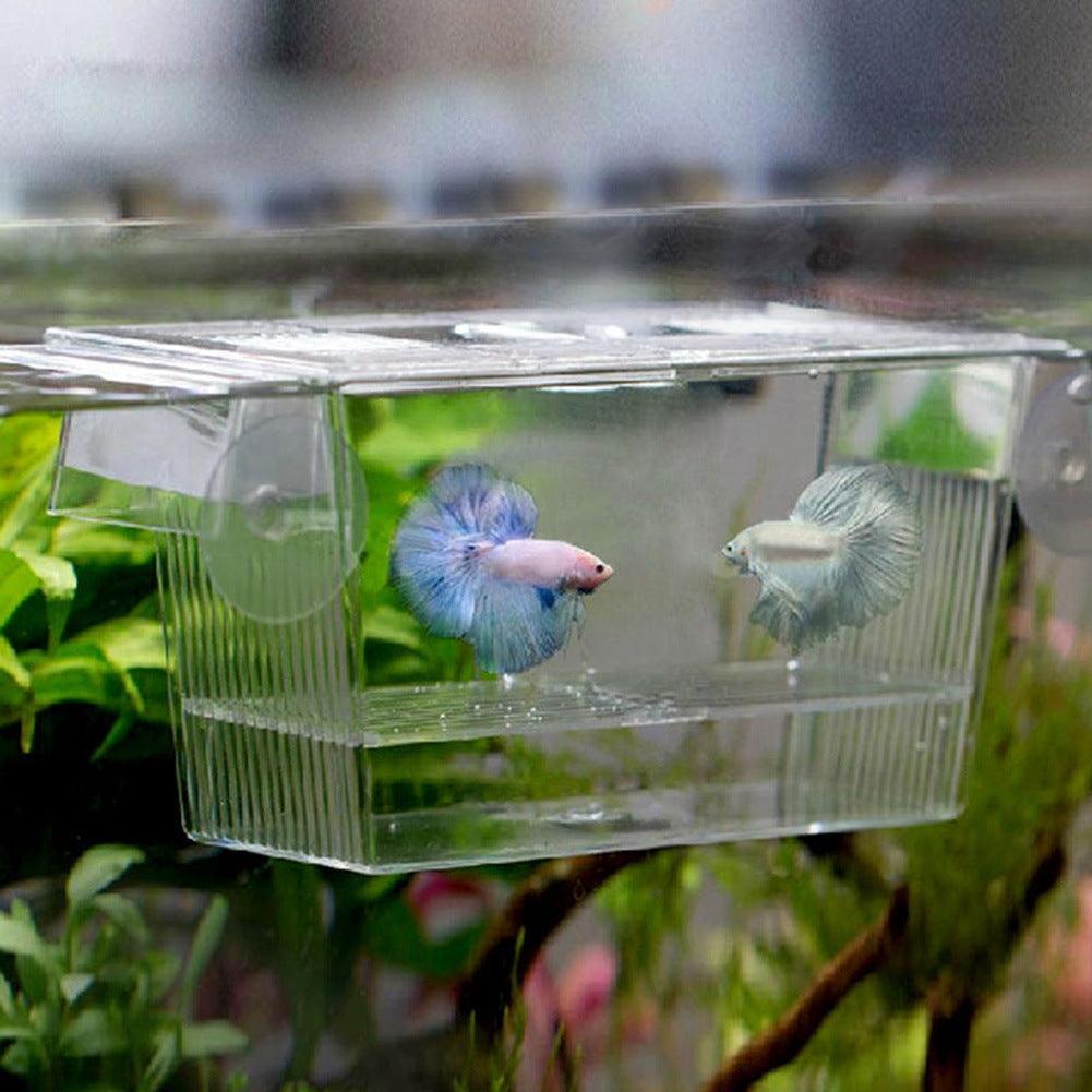 Aquarium Fish Tank Hatchery Box-0
